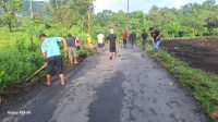 IMG-20250630-WA0040